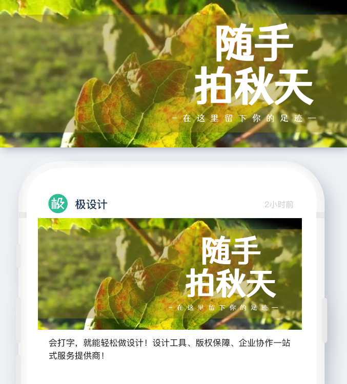风景秋季银杏叶黄色摄影公众号封面首图