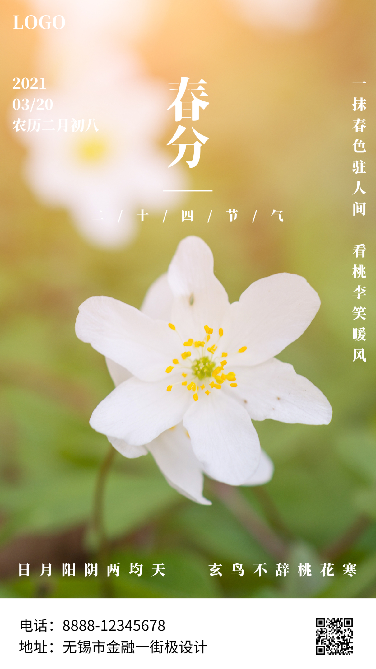 春风节气摄影图手机海报