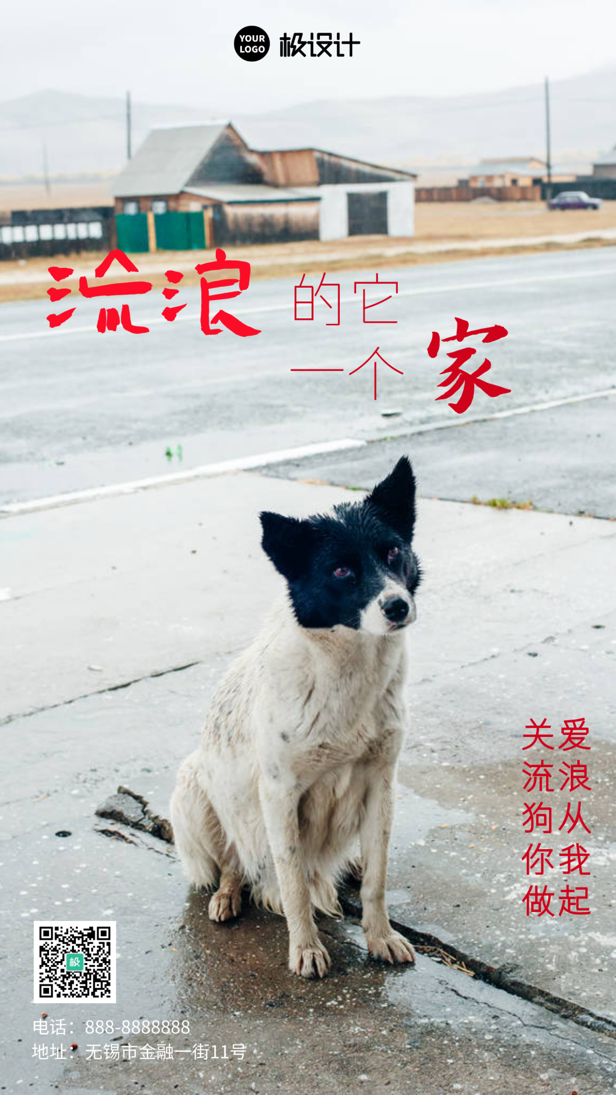 简约大气摄影图关爱流浪狗公益海报	