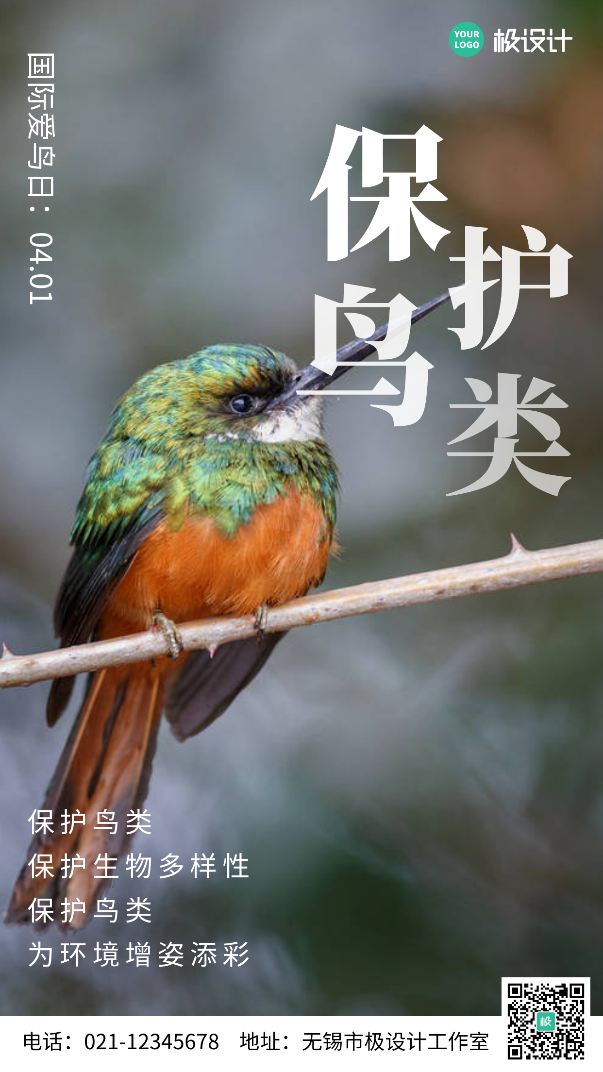 4.1爱鸟日保护鸟类简约风手机海报