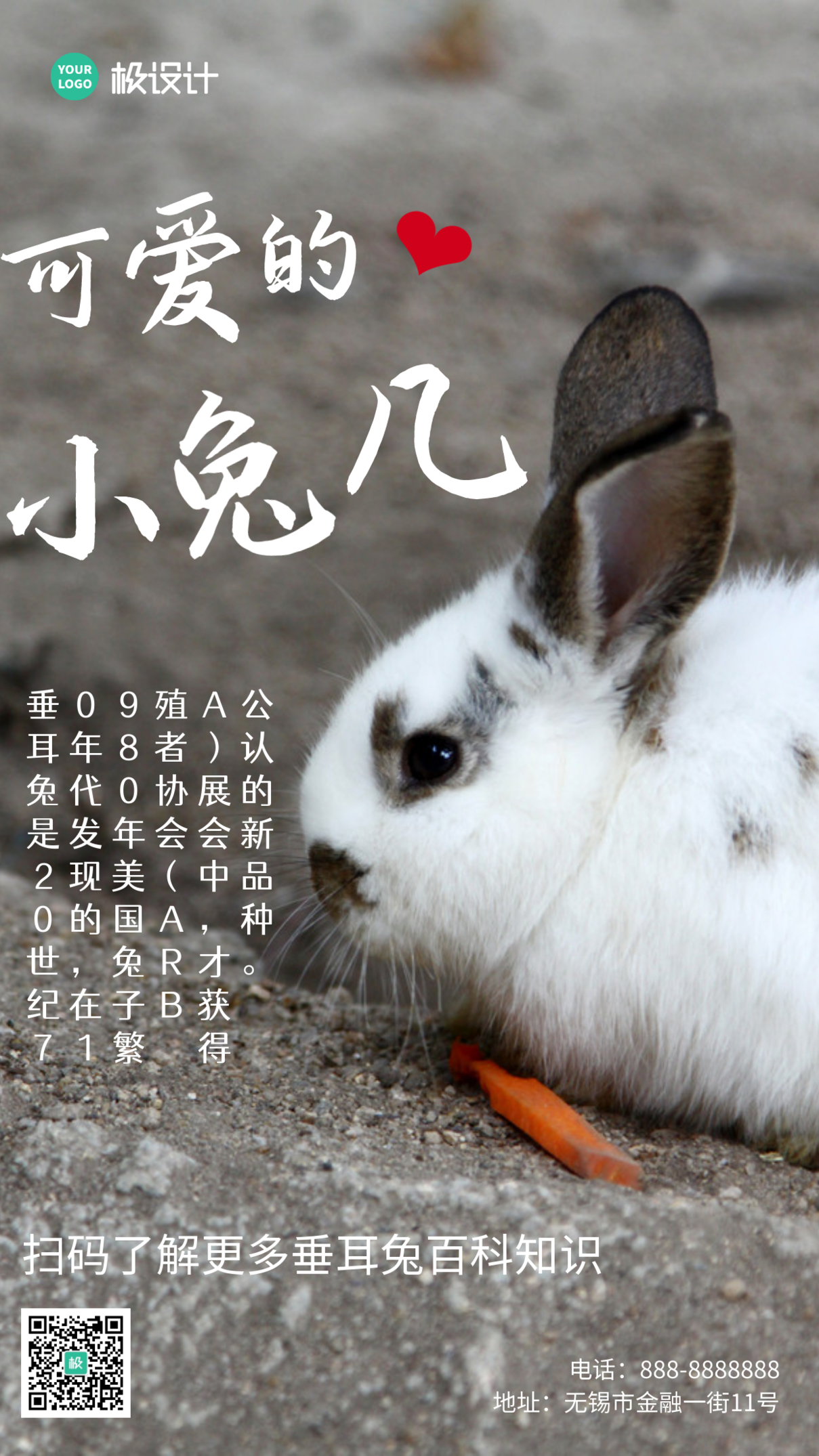 垂耳兔动物知识摄影风手机海报