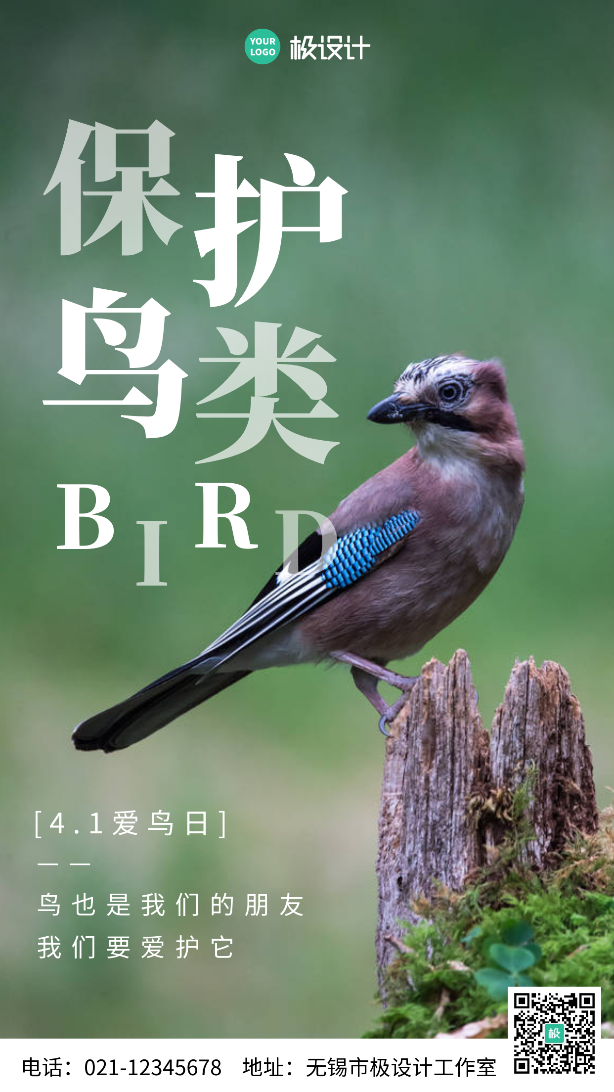 4.1爱鸟日保护鸟类摄影图简约风手机海报