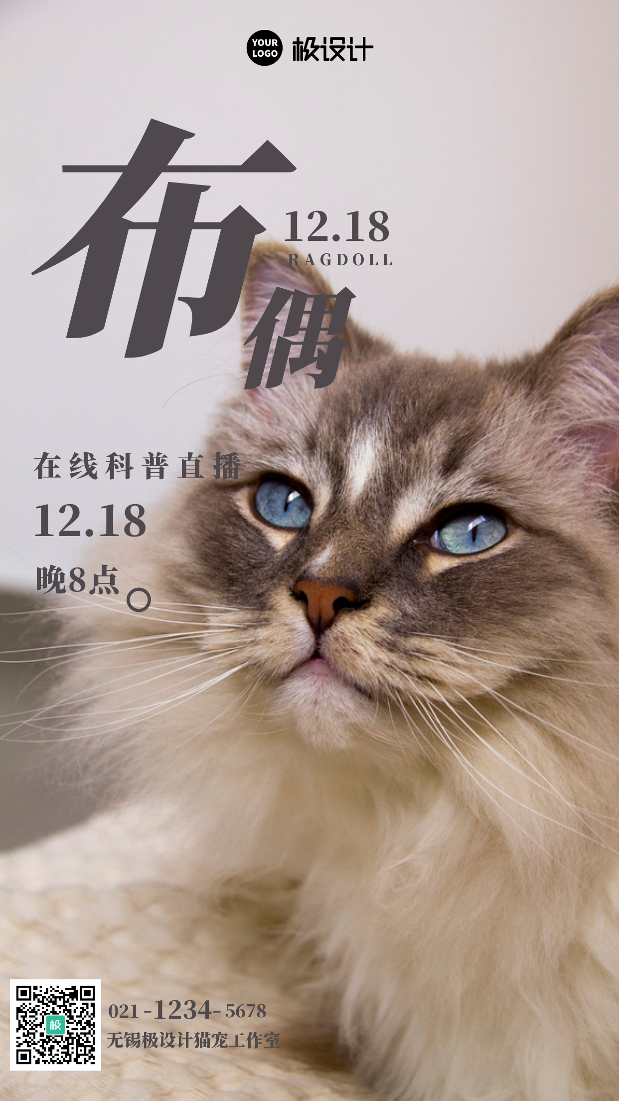 布偶猫动物科普手机海报