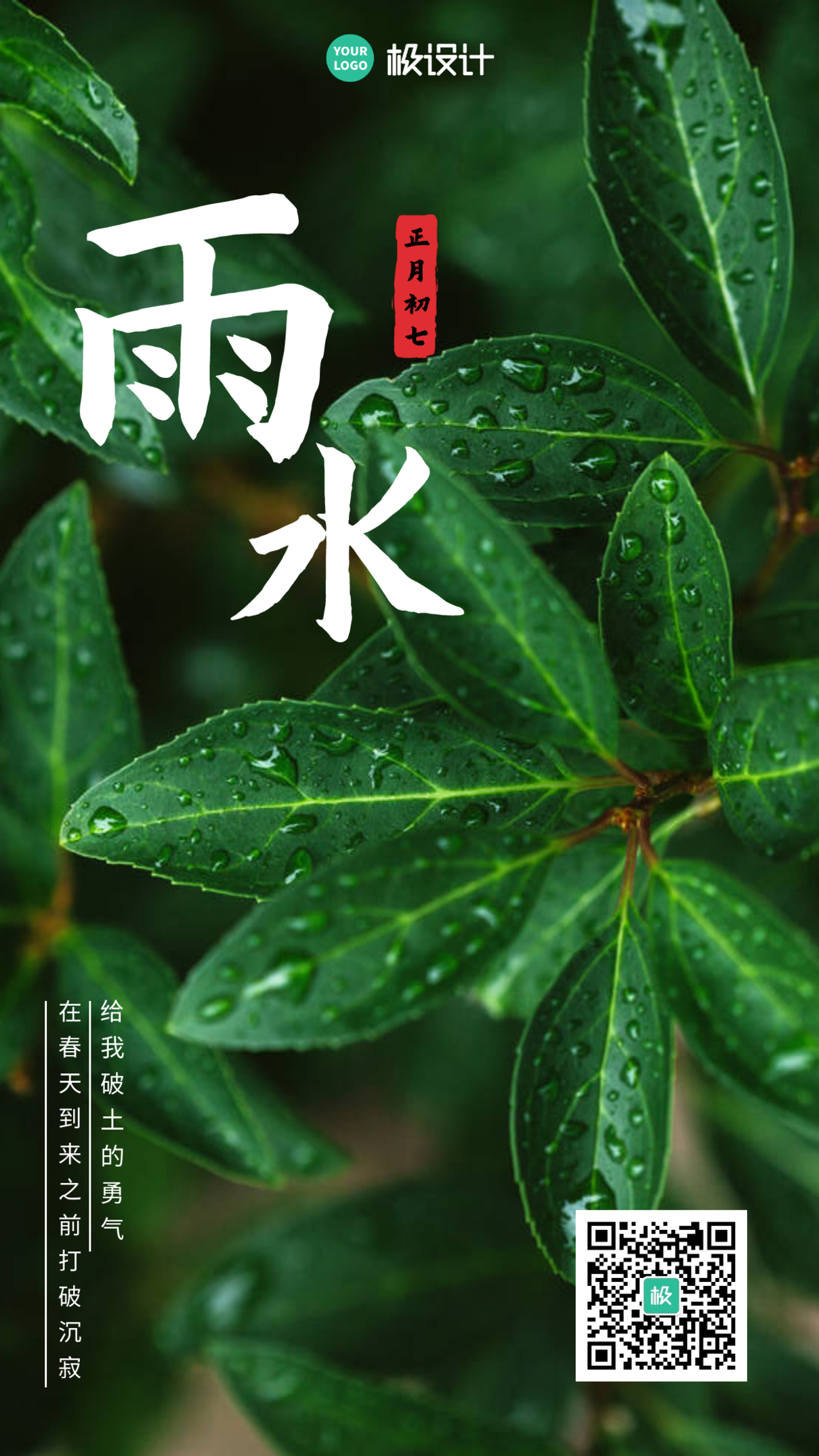 雨水节气问候祝福摄影图手机海报