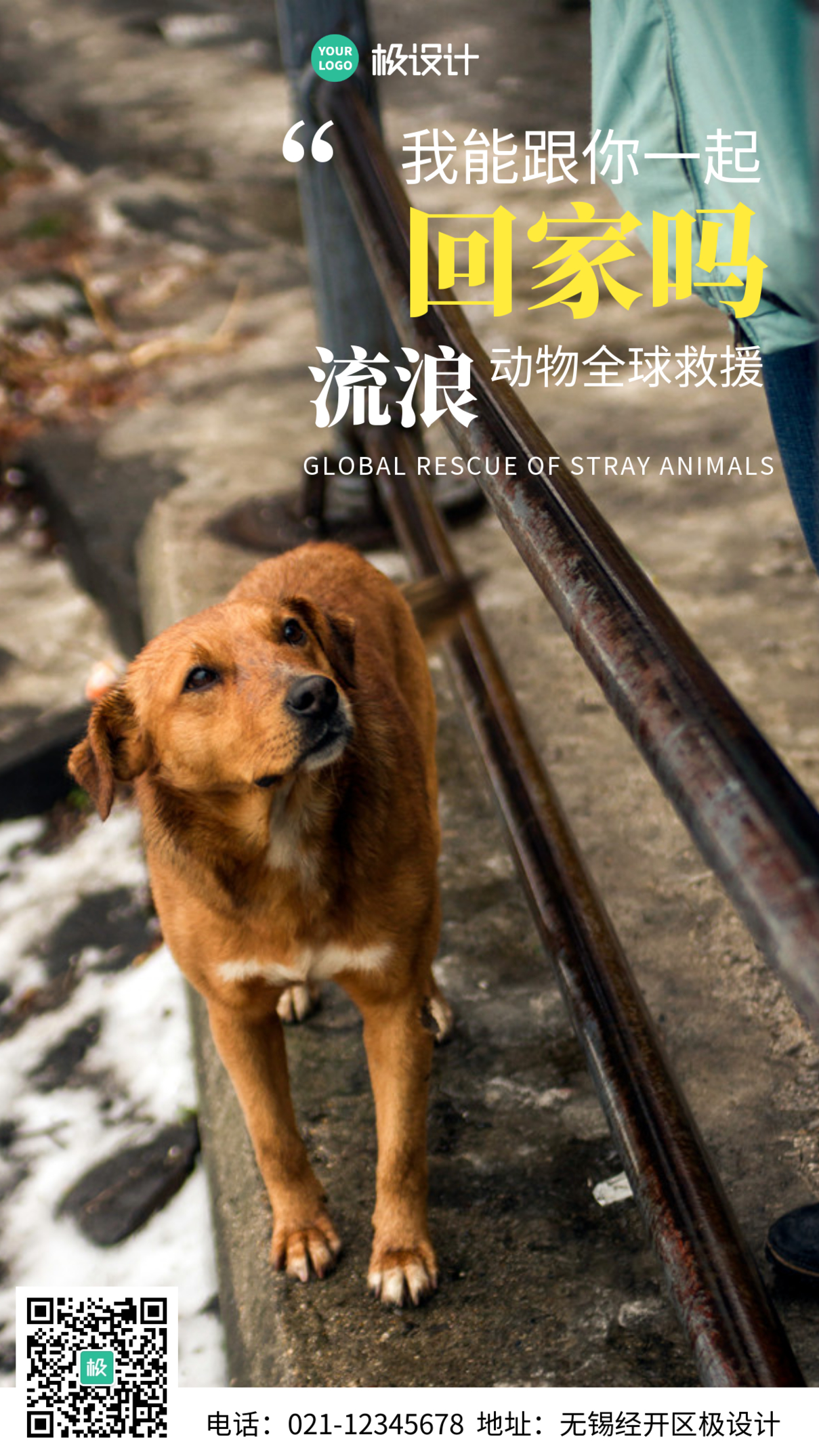 简约风摄影图流浪动物全球救援手机海报