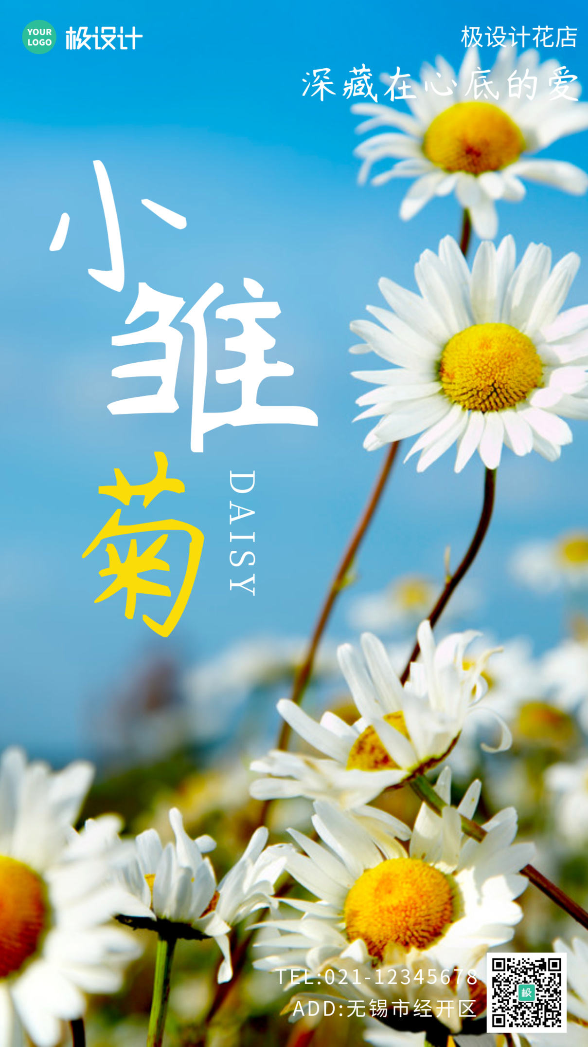 小雏菊摄影图简约大气手机海报