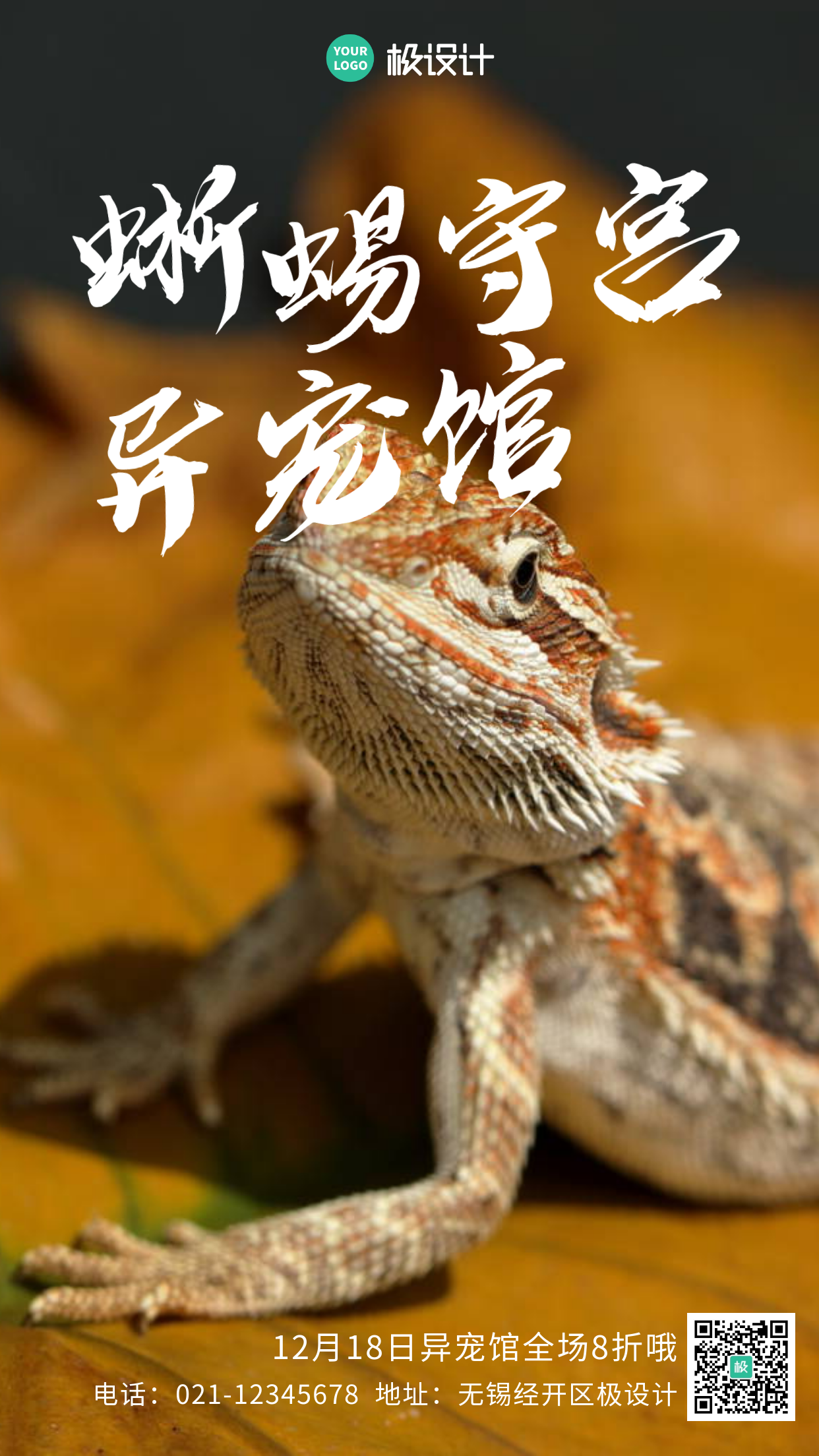 蜥蜴守宫异宠馆宣传摄影图手机海报