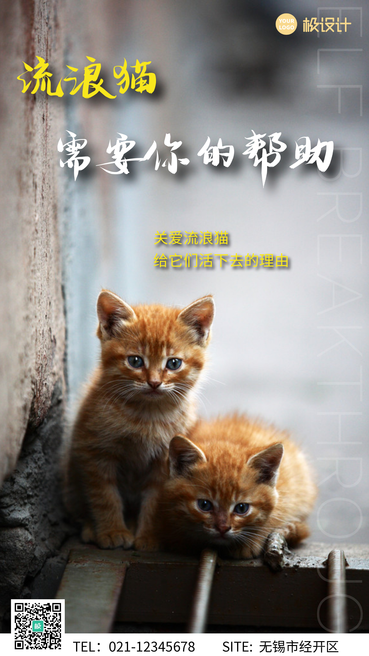 简约风创意摄影图海报关爱流浪猫公益海报