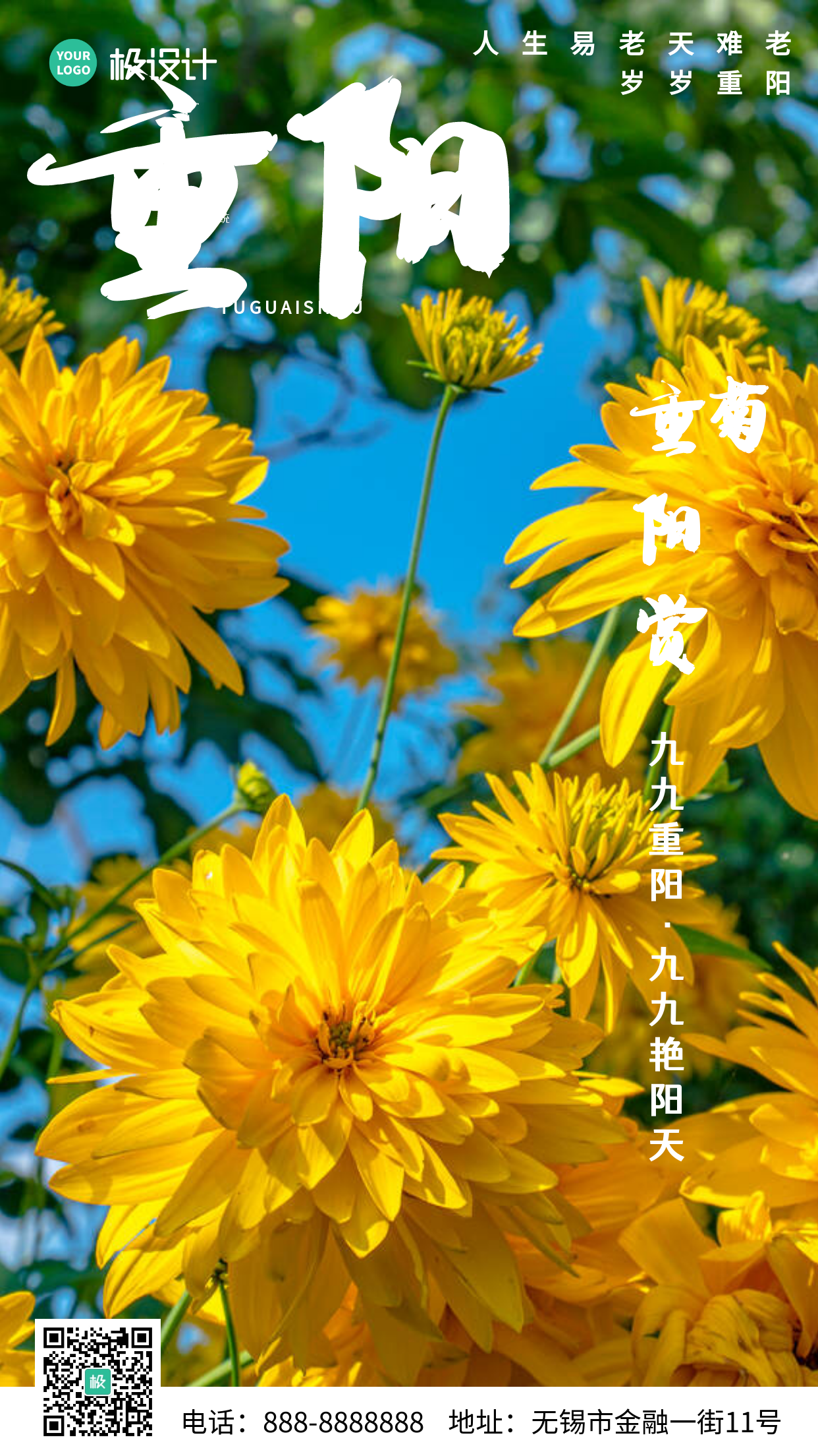 摄影风清新创意重阳节赏菊摄影图海报