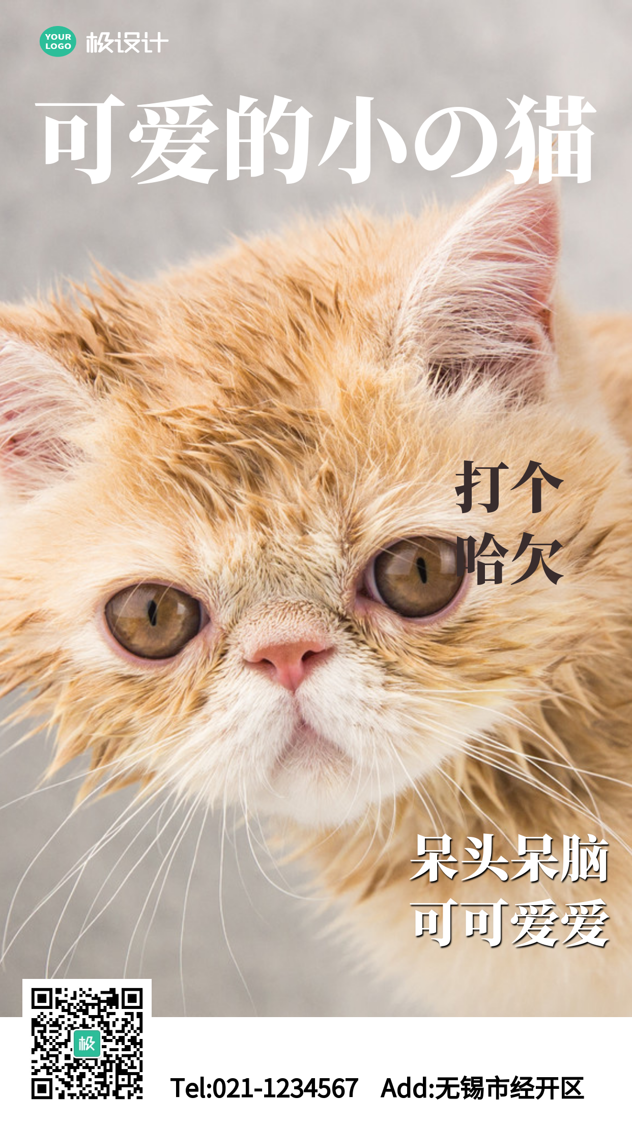 简约风格可爱猫科普宣传手机海报