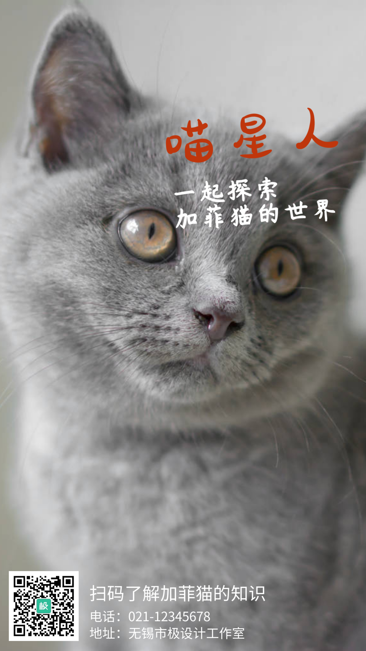 可爱喵星人加菲猫宠物手机海报