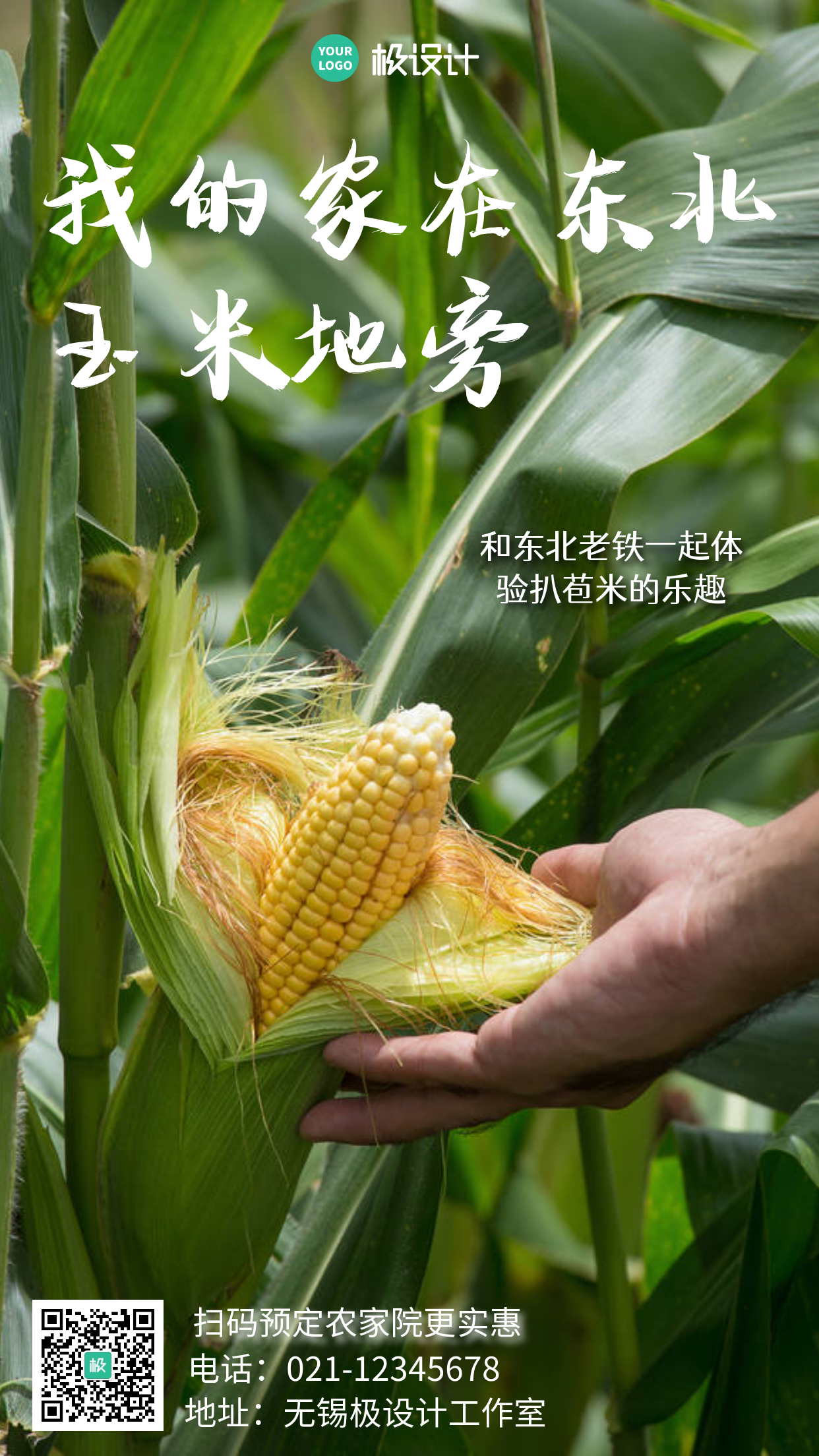 东北玉米旅游宣传玉米摄影图手机营销海报
