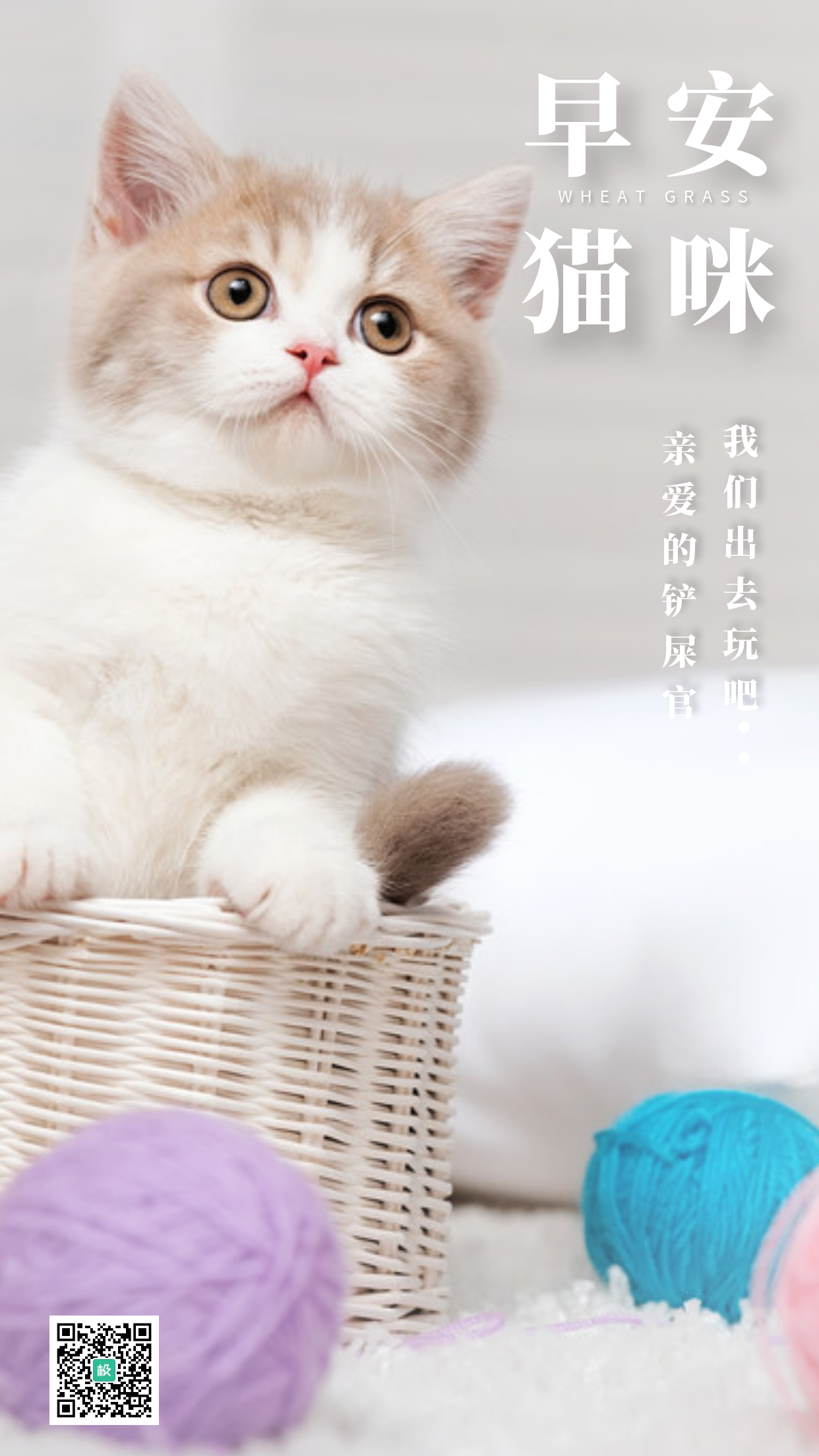 早安猫咪萌宠简约日签手机海报
