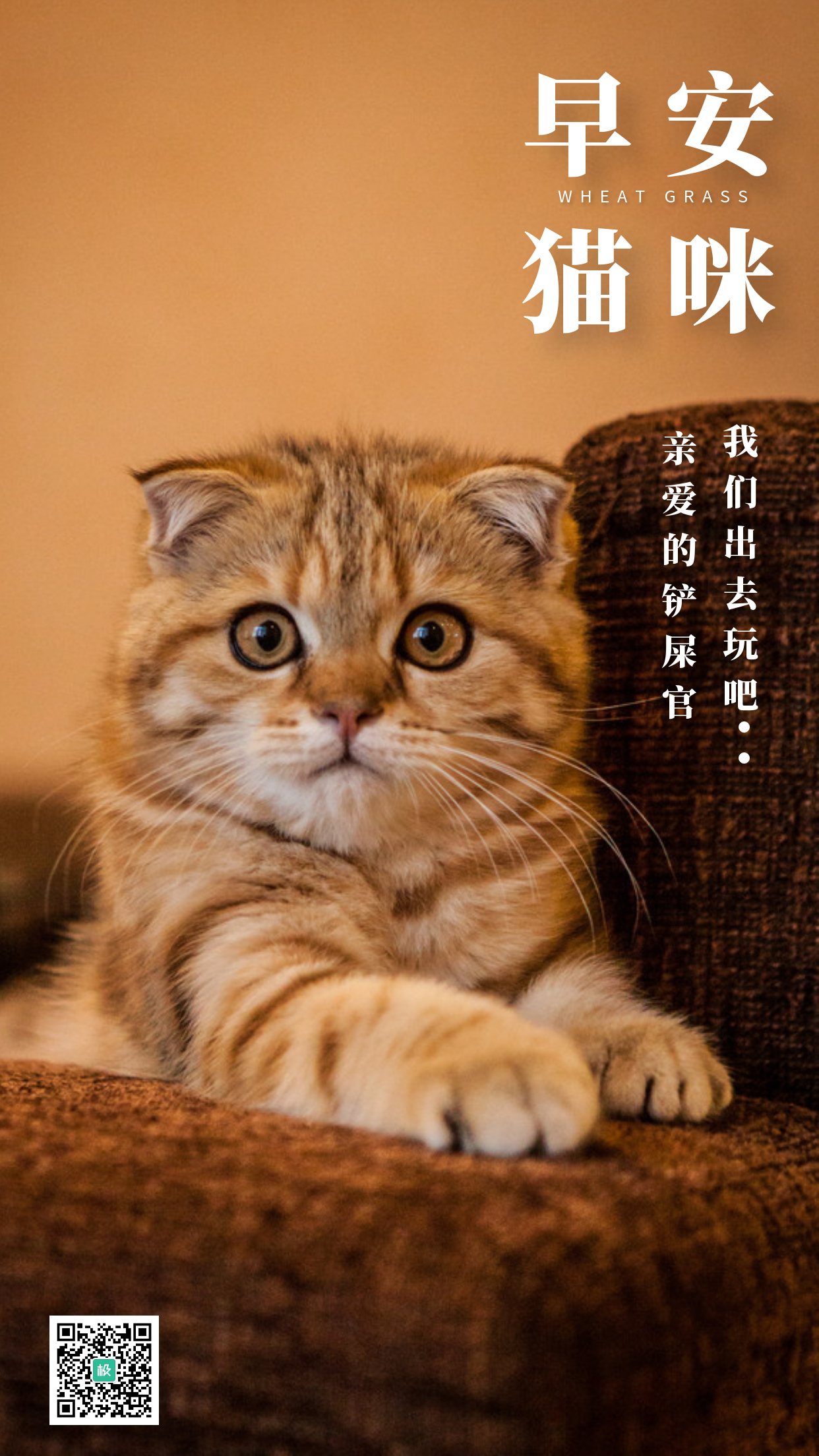 早安猫咪萌宠简约日签手机海报