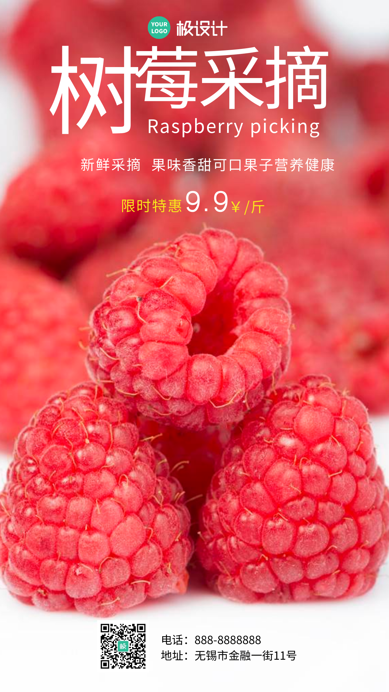树莓采摘红色宣传促销水果简约风摄影图海报