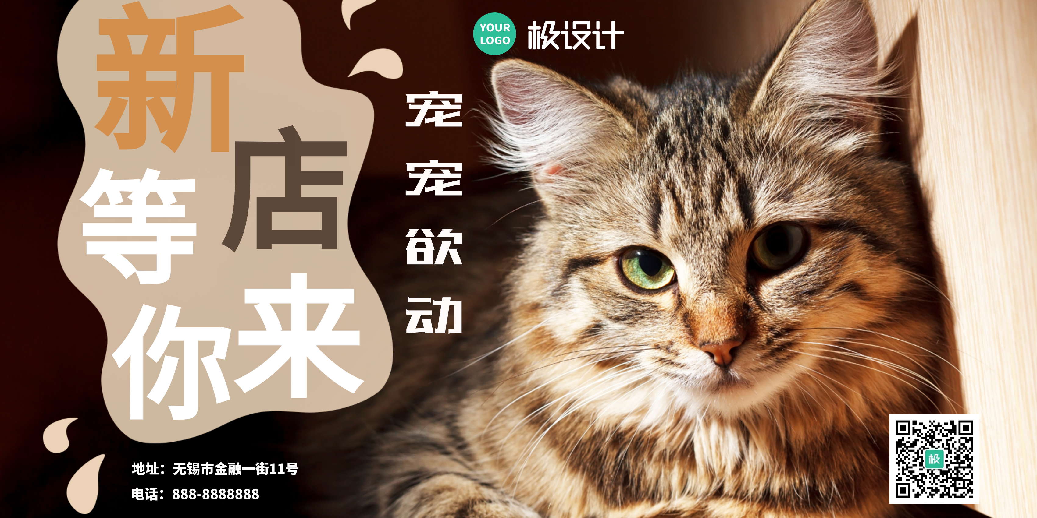 宠物猫新店商业活动推广海报