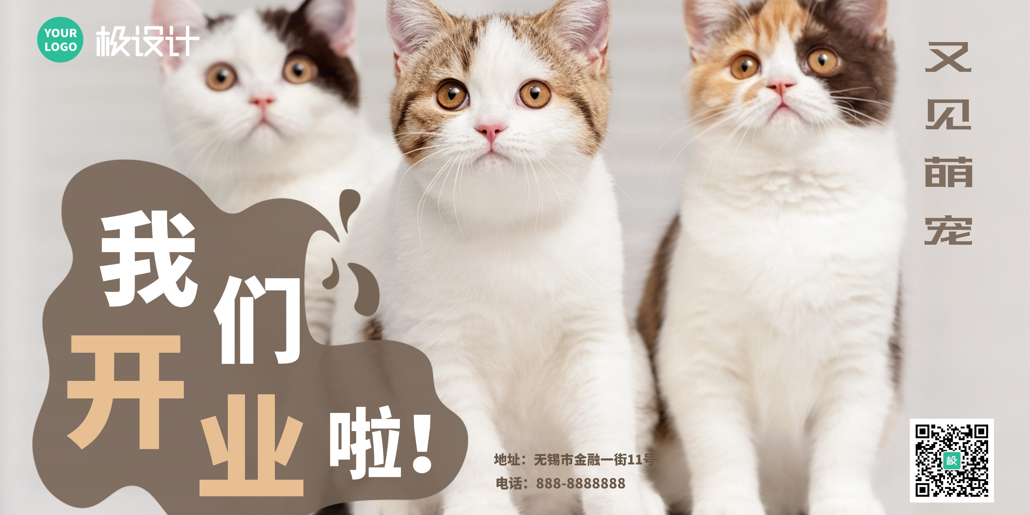 宠物猫商业活动营销推广海报