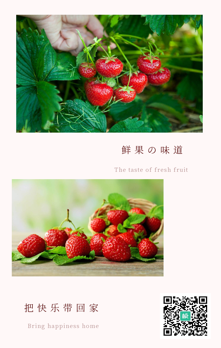 简约新鲜草莓海报拼图