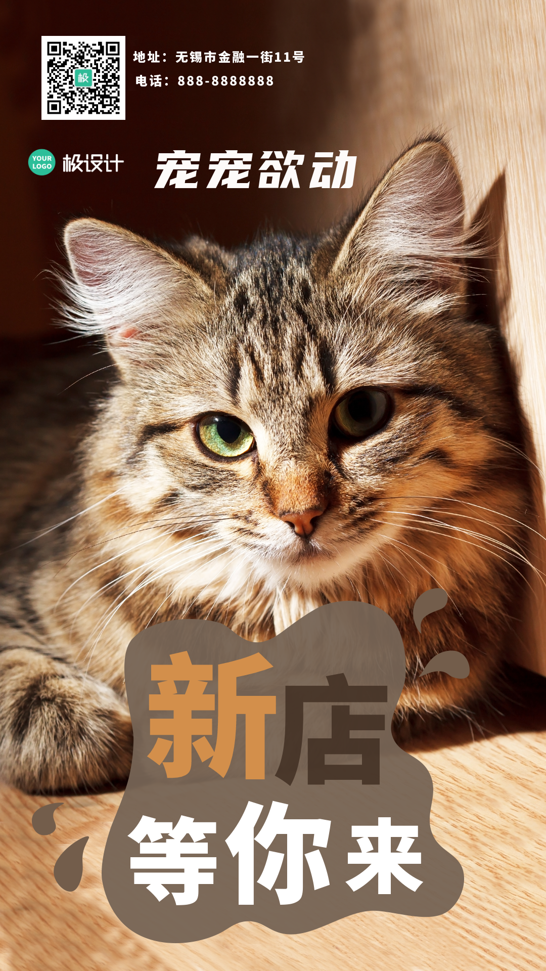 宠物猫新店商业活动推广海报-竖