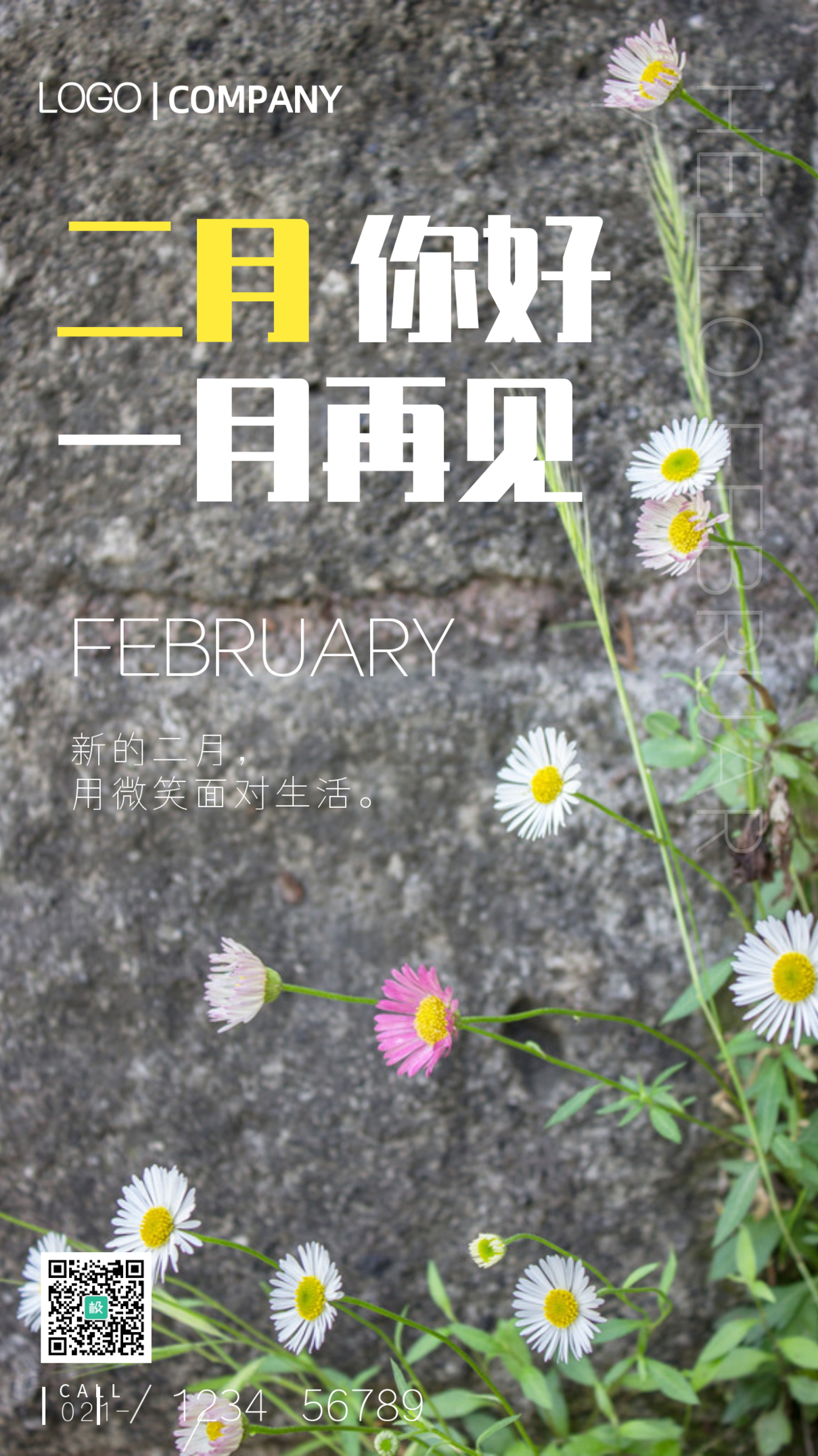 雏菊摄影图二月你好手机海报
