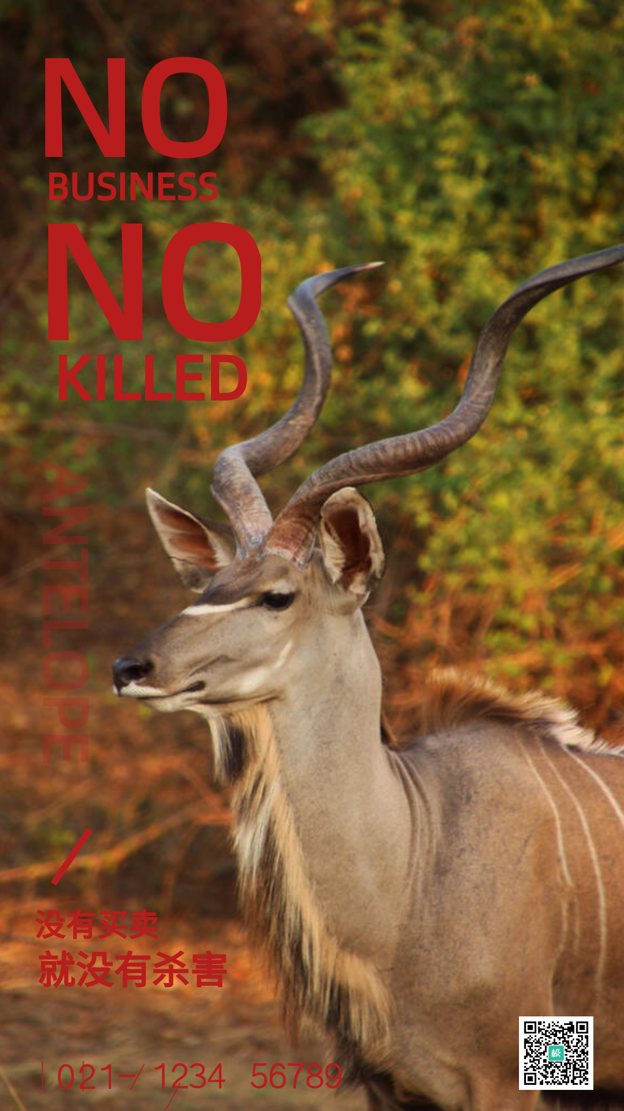 羚羊摄影图拒绝捕杀动物手机海报