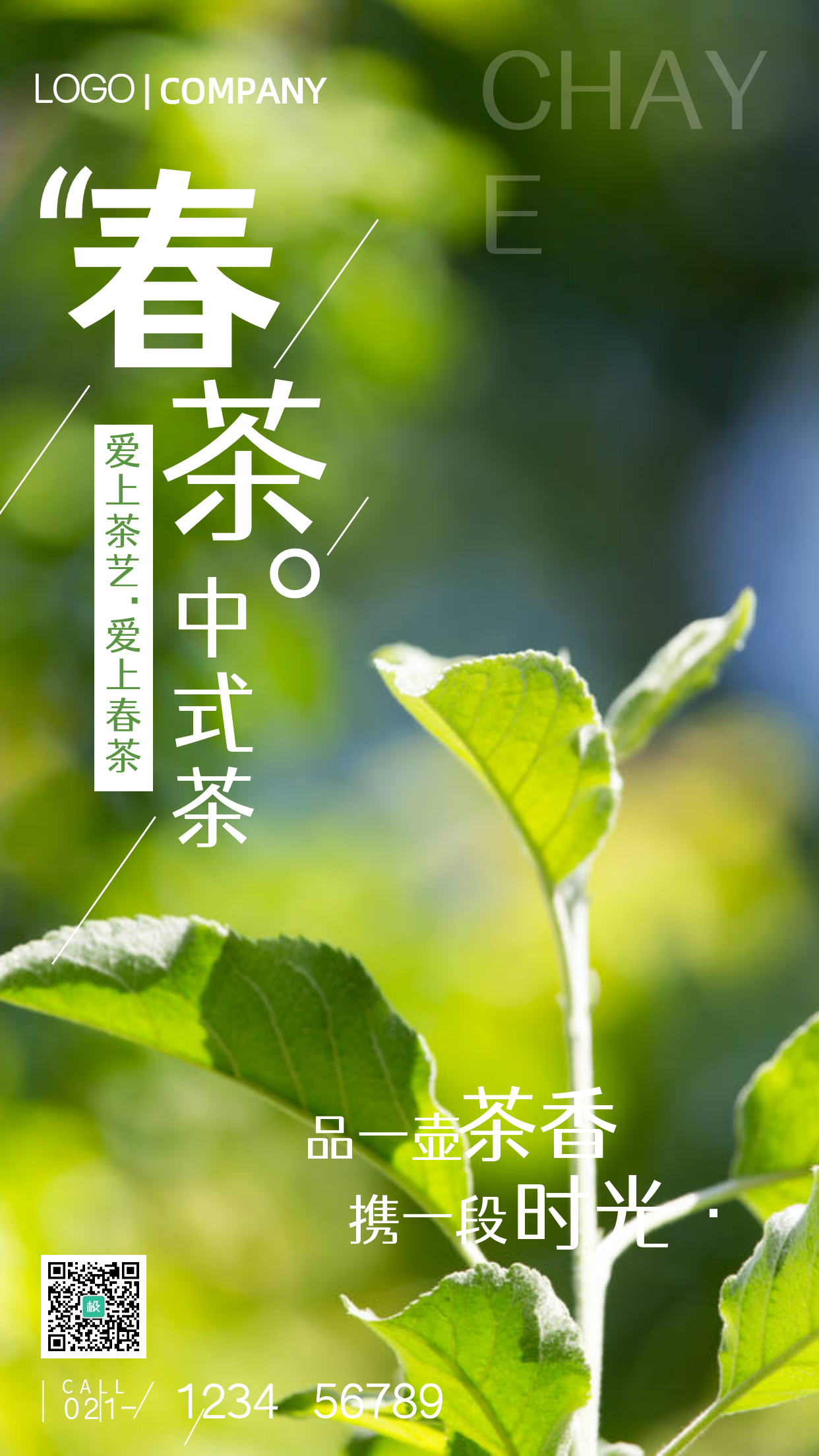 春茶摄影图宣传手机海报