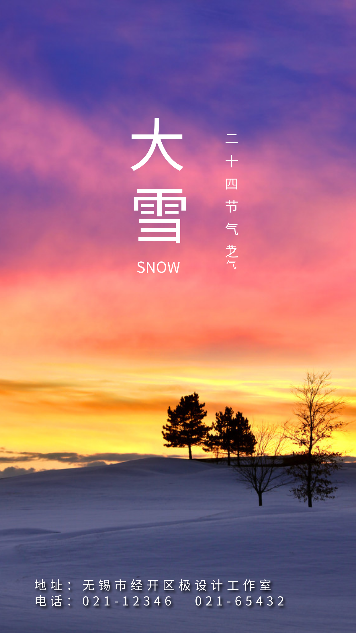 大雪摄影风实景节气祝福手机海报