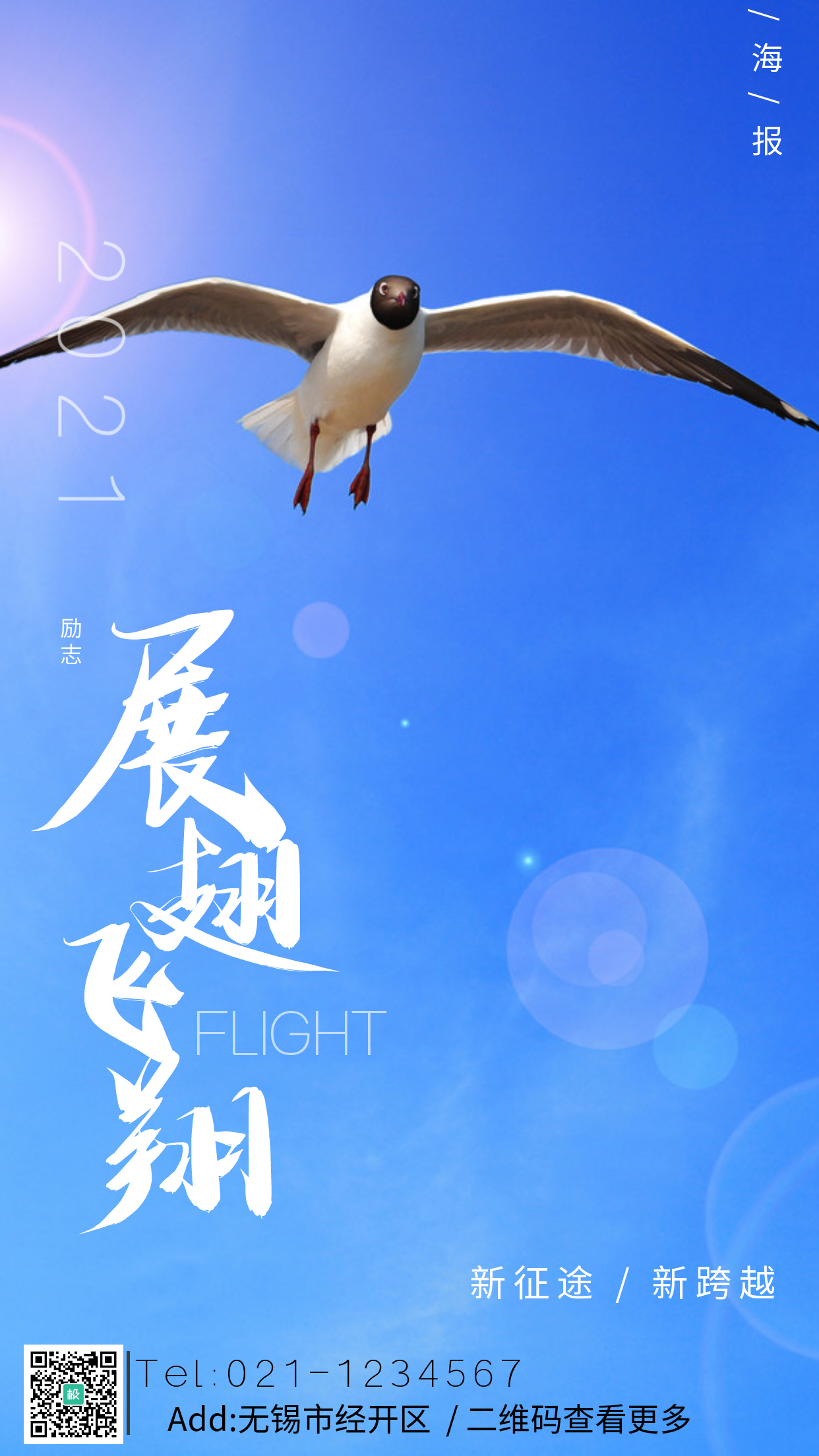 海鸥摄影图展翅飞翔励志手机海报