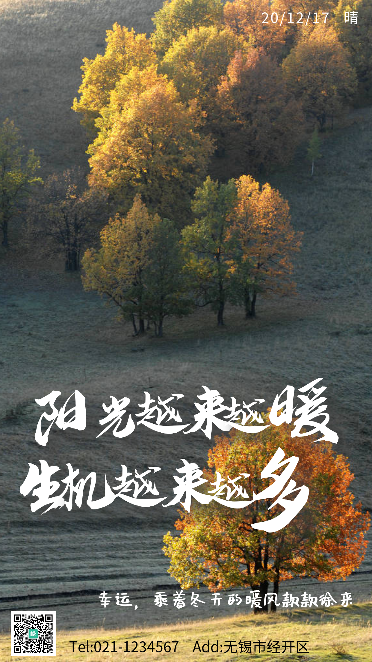 树木摄影图阳光励志手机海报