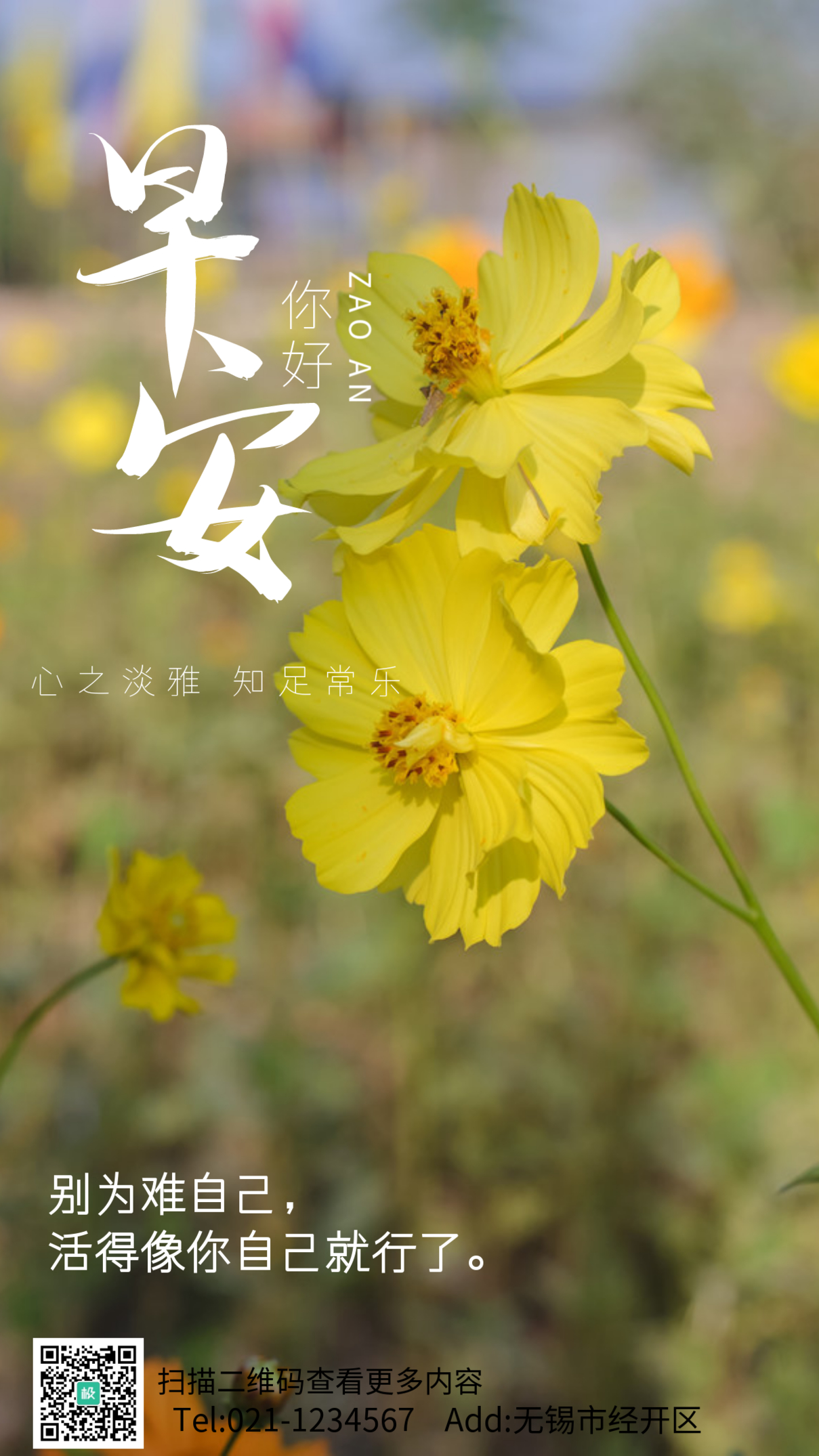 花朵摄影图早安励志手机海报