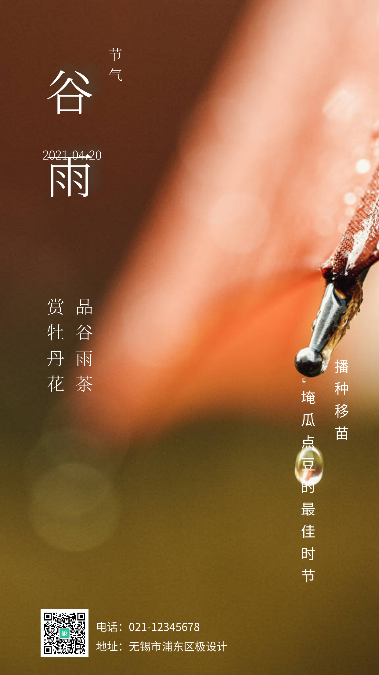 谷雨节气习俗介绍清新绿色摄影图海报